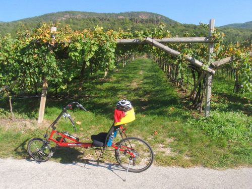 Vineyard Pose.